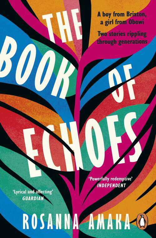 Book cover of The Book Of Echoes: The ‘powerfully redemptive’ debut of love and hope rippling across generations
