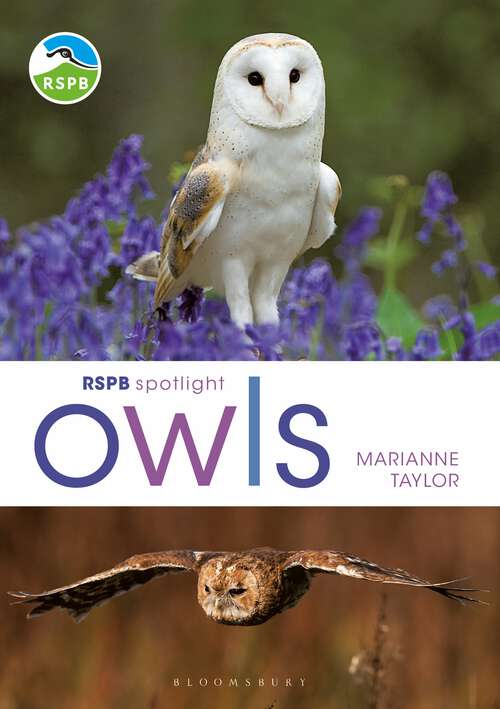Book cover of RSPB Spotlight Owls