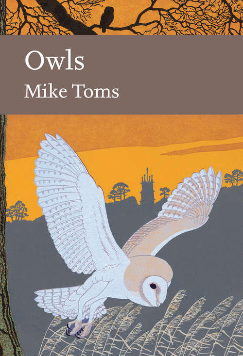 Book cover of Owls (ePub edition) (Collins New Naturalist Library #125)