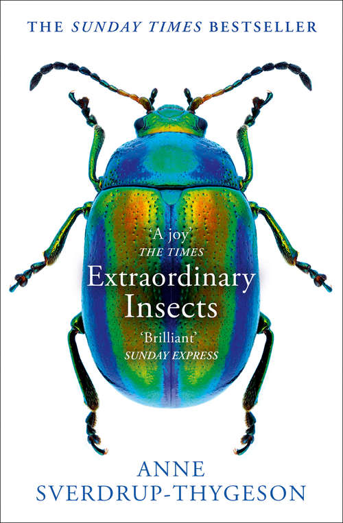 Book cover of Extraordinary Insects: A Hidden History Of The World