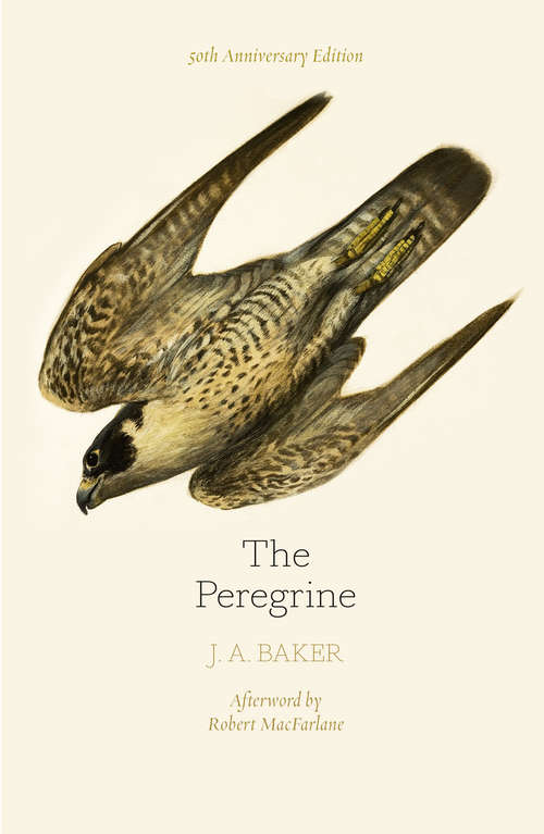 Book cover of The Peregrine: Afterword By Robert Macfarlane (ePub edition)