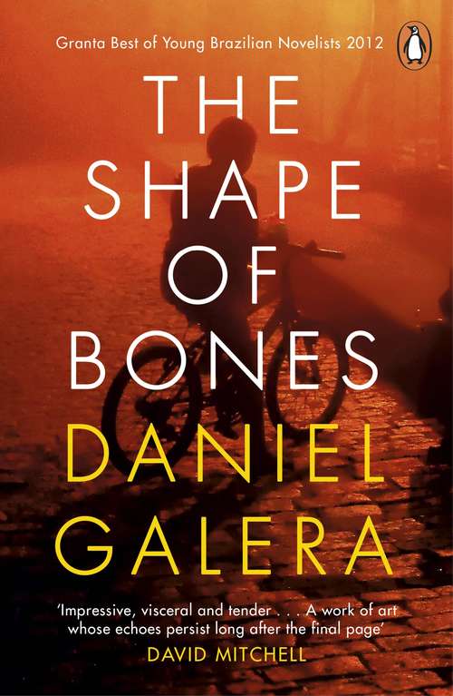 Book cover of The Shape of Bones: A Novel