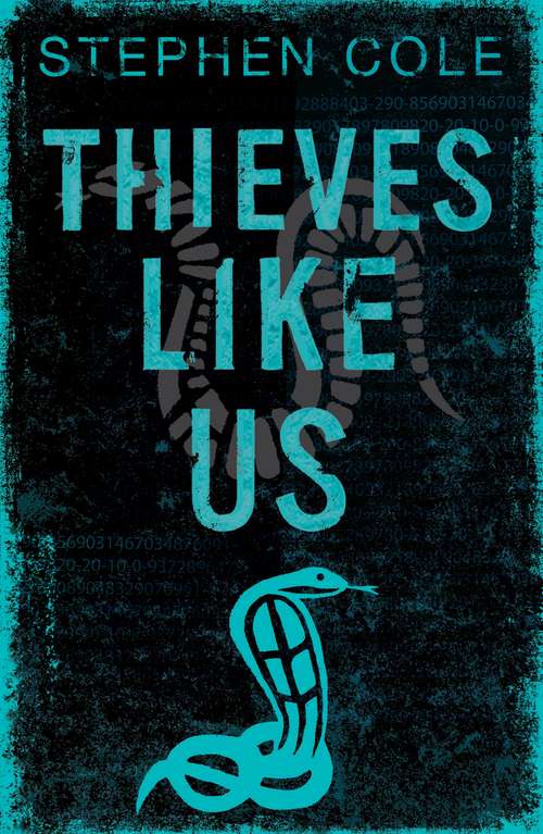 Book cover of Thieves Like Us: Rejacketed