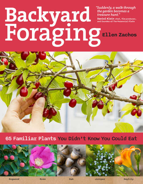 Book cover of Backyard Foraging: 65 Familiar Plants You Didn't Know You Could Eat