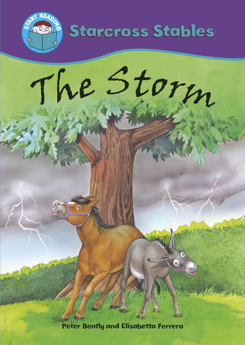 Book cover of The Storm (PD) (Start Reading: Starcross Stables)