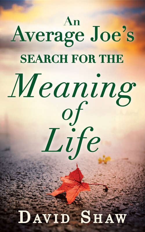 Book cover of An Average Joe's Search For The Meaning Of Life (ePub First edition)