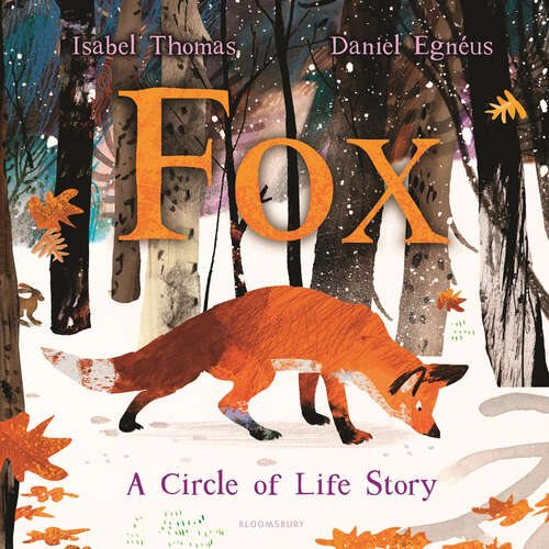 Book cover of Fox: A Circle of Life Story (City Safari Ser.)
