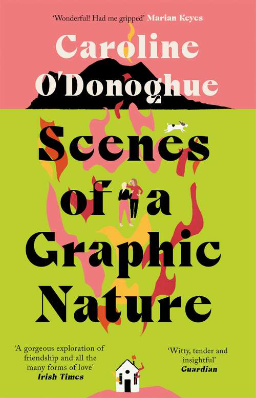 Book cover of Scenes of a Graphic Nature: 'A perfect page-turner . . . I loved it' - Dolly Alderton