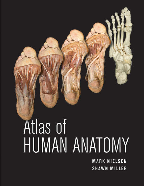 Book cover of Atlas of Human Anatomy