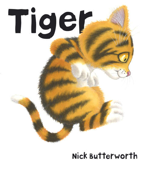 Book cover of Tiger