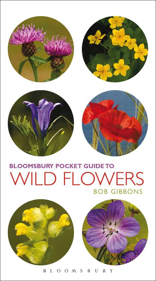 Book cover of Pocket Guide To Wild Flowers (Pocket Guides)