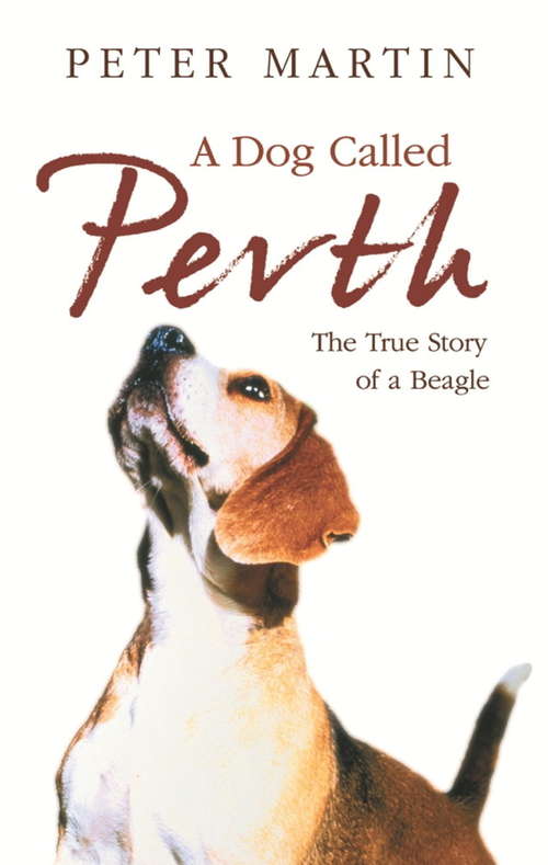 Book cover of A Dog called Perth: The Voyage of a Beagle
