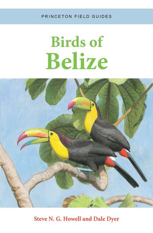 Book cover of Birds of Belize (Princeton Field Guides #158)