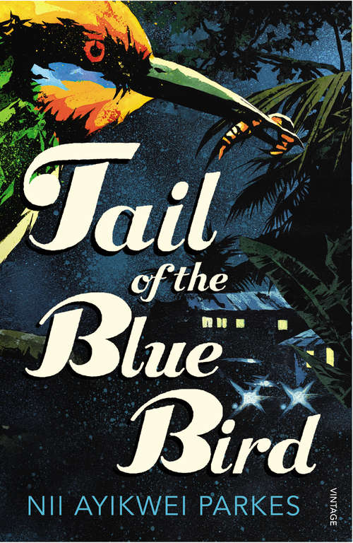 Book cover of Tail of the Blue Bird