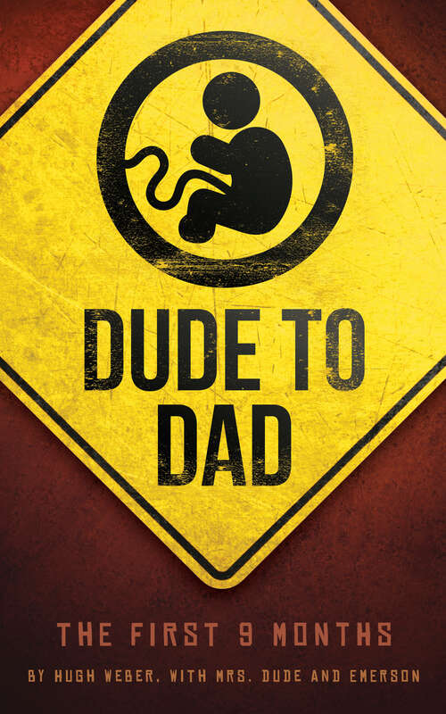 Book cover of Dude to Dad: The First 9 Months