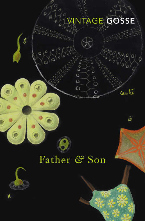 Book cover of Father and Son: A Study Of Two Temperaments (Nonsuch Classics Ser.)