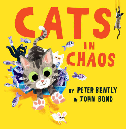 Book cover of Cats in Chaos