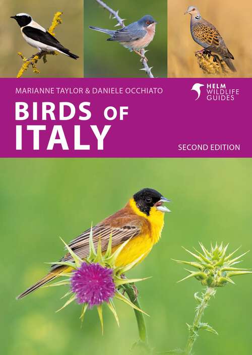 Book cover of Birds of Italy: Second Edition (Helm Wildlife Guides)