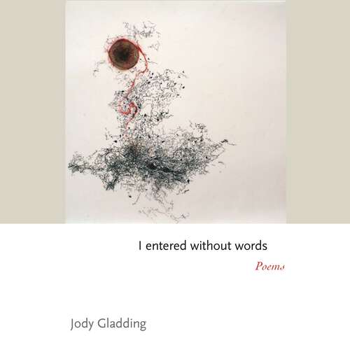 Book cover of I entered without words: Poems (Princeton Series of Contemporary Poets #168)