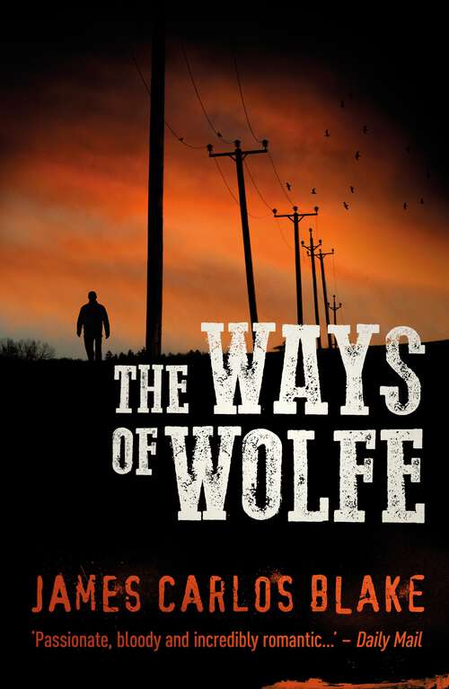 Book cover of The Ways of Wolfe: A Mexico Cartel Thriller (The Wolfe family series #3)