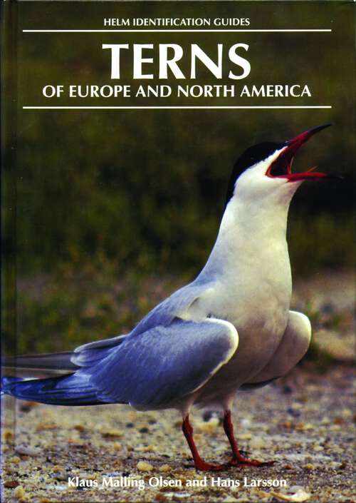 Book cover of Terns of Europe and North America (Helm Identification Guides)