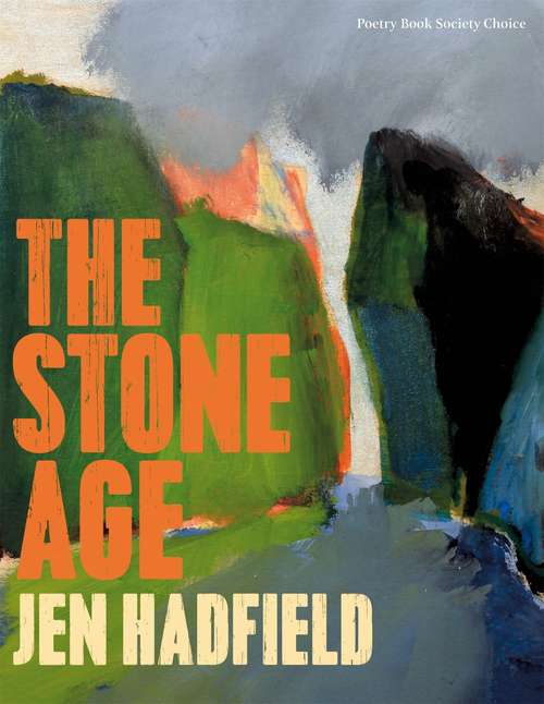 Book cover of The Stone Age