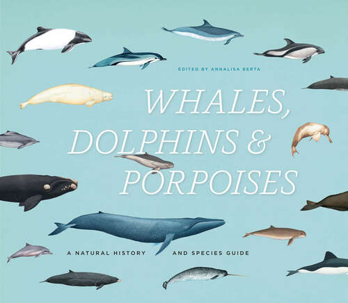 Book cover of Whales, Dolphins, and Porpoises: A Natural History and Species Guide