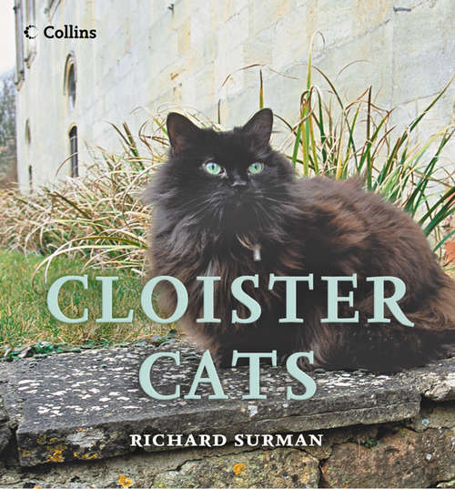 Book cover of Cloister Cats (ePub edition)