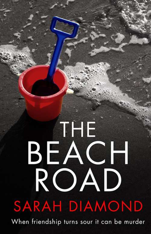 Book cover of The Beach Road