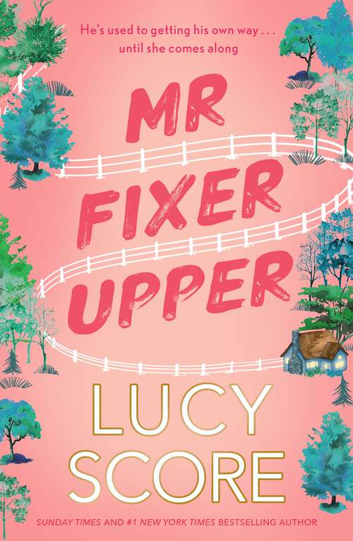 Book cover of Mr Fixer Upper: the new romance from the bestselling Tiktok sensation!