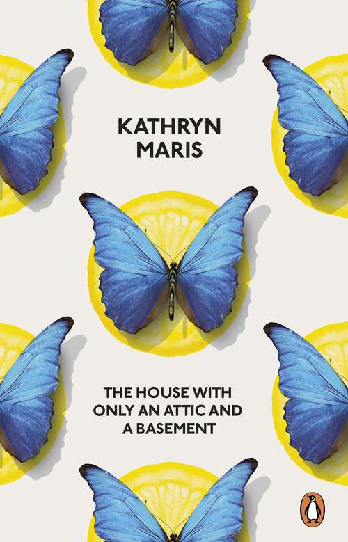 Book cover of The House with Only an Attic and a Basement