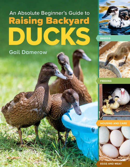Book cover of An Absolute Beginner's Guide to Raising Backyard Ducks: Breeds, Feeding, Housing and Care, Eggs and Meat
