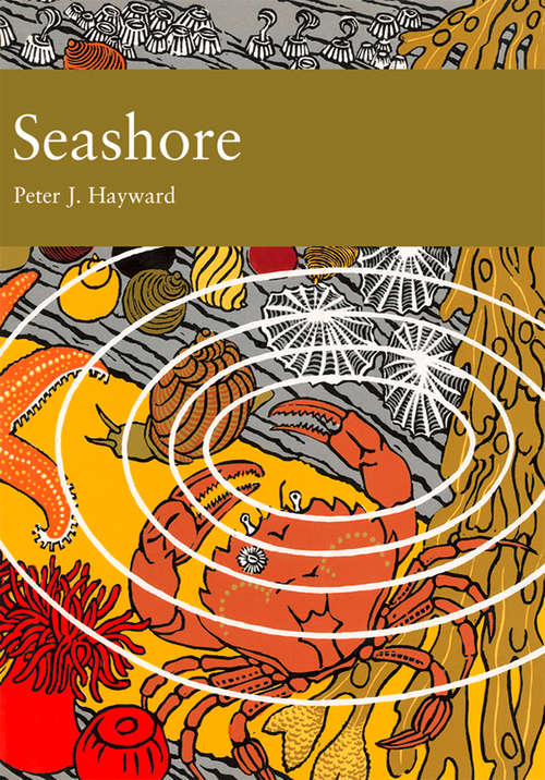 Book cover of Seashore (ePub edition) (Collins New Naturalist Library #94)