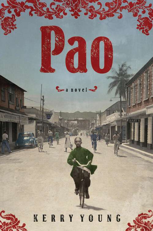 Book cover of Pao: A Novel