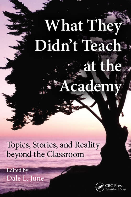 Book cover of What They Didn't Teach at the Academy: Topics, Stories, and Reality beyond the Classroom
