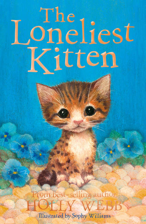 Book cover of The Loneliest Kitten (Holly Webb Animal Stories #43)