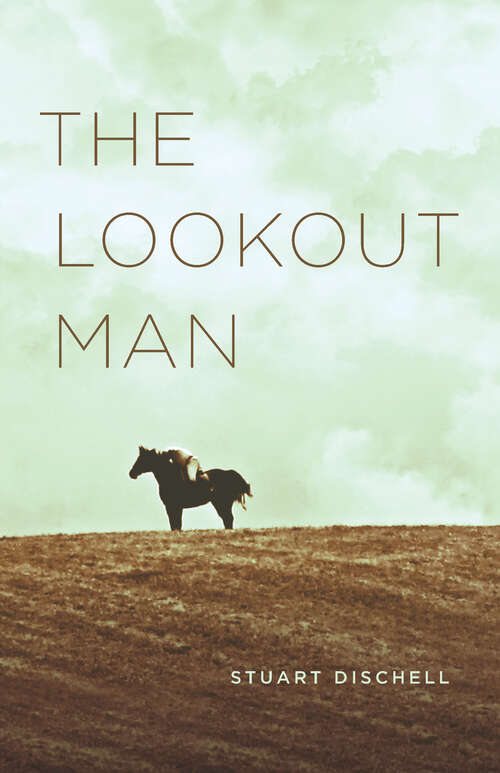 Book cover of The Lookout Man (Phoenix Poets)