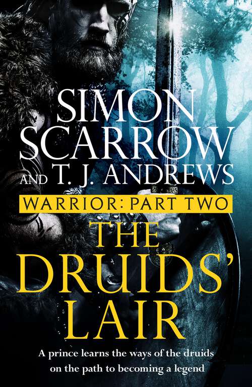 Book cover of Warrior: Part Two of the Roman Caratacus series (Warrior)