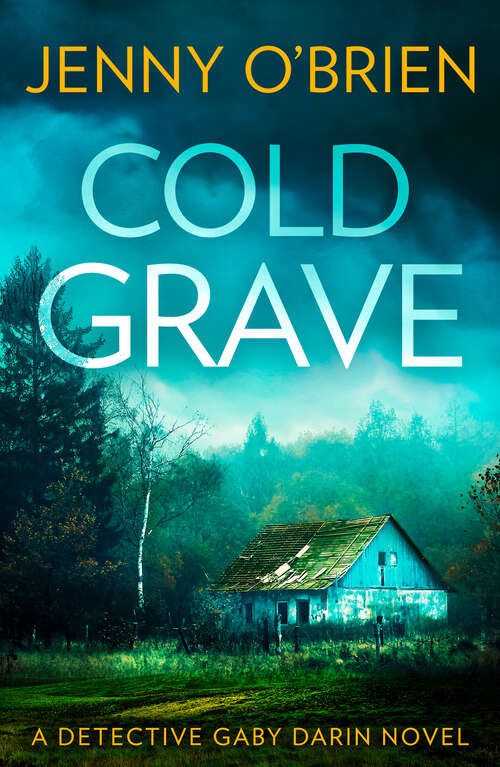 Book cover of Cold Grave (ePub edition) (Detective Gaby Darin #6)