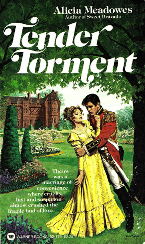Book cover of Tender Torment