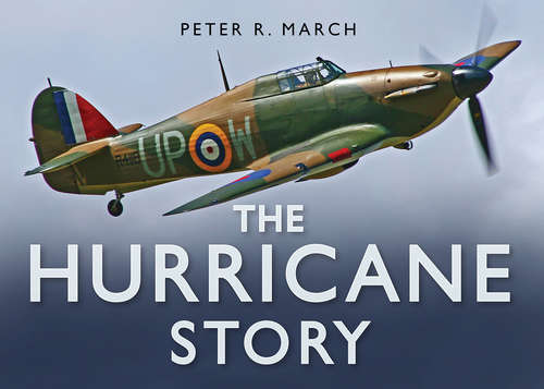 Book cover of The Hurricane Story (Story Ser.)
