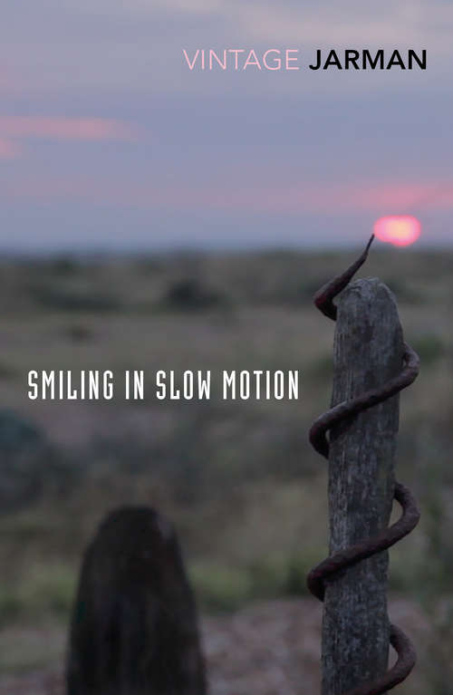 Book cover of Smiling in Slow Motion: Diaries, 1991-1994