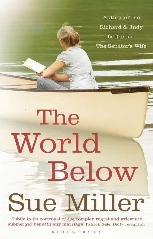 Book cover of The World Below: rejacketed (Charnwood Large Print Ser.)