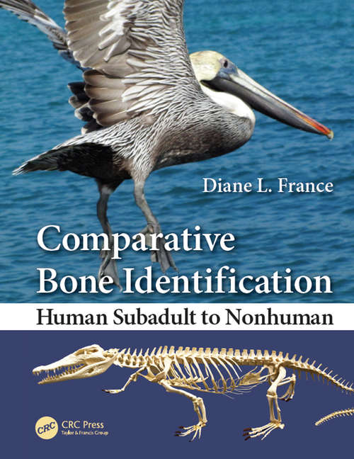 Book cover of Comparative Bone Identification: Human Subadult to Nonhuman