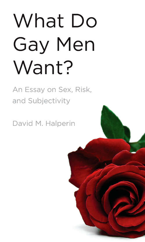 Book cover of What Do Gay Men Want?: An Essay on Sex, Risk, and Subjectivity