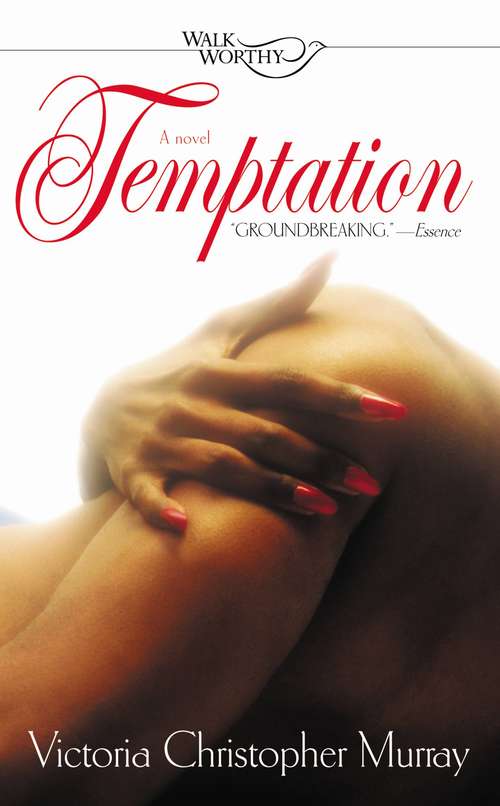 Book cover of Temptation: The Aftermath