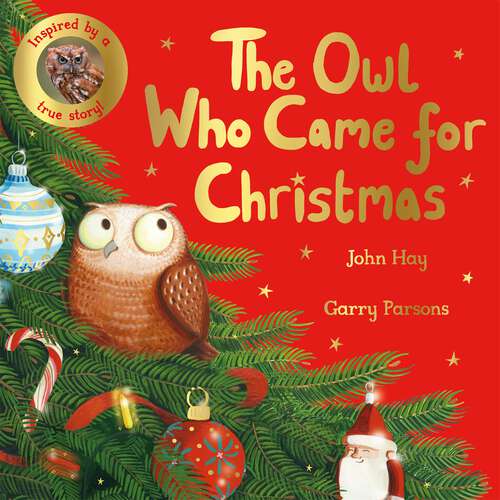Book cover of The Owl Who Came for Christmas
