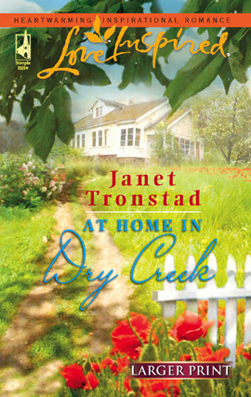 Book cover of At Home in Dry Creek (ePub First edition) (Mills And Boon Love Inspired Ser.)