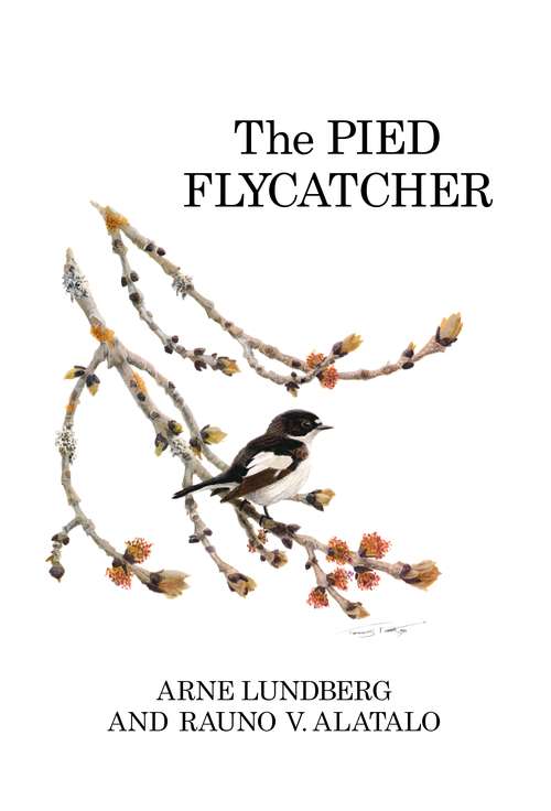 Book cover of The Pied Flycatcher (Poyser Monographs)