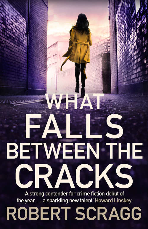 Book cover of What Falls Between the Cracks: The gripping debut that will have you reading late into the night (Porter And Styles Ser. #1)